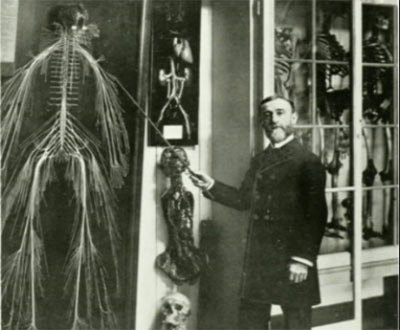 Nerve Doc